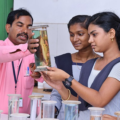 junior-college-about